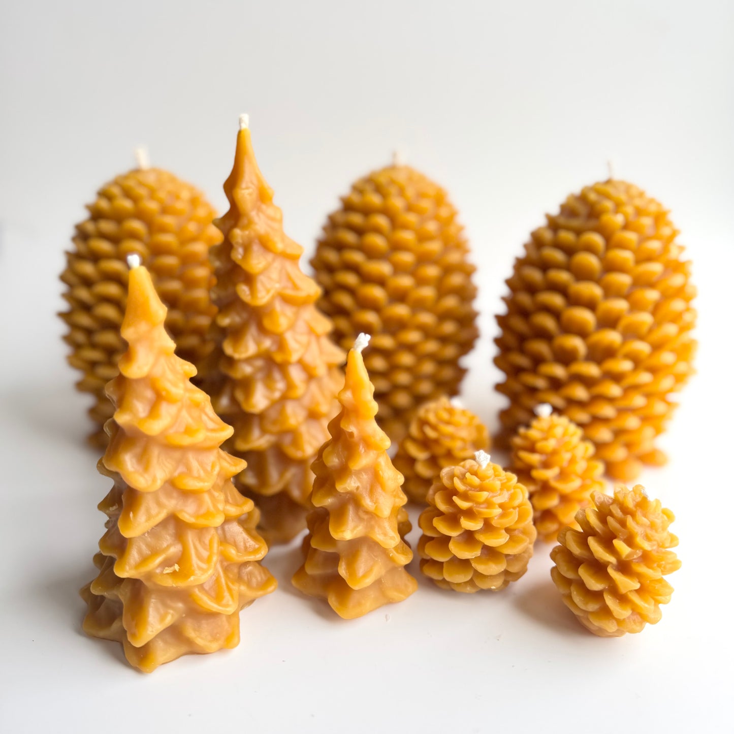 Forest Candle Bundle