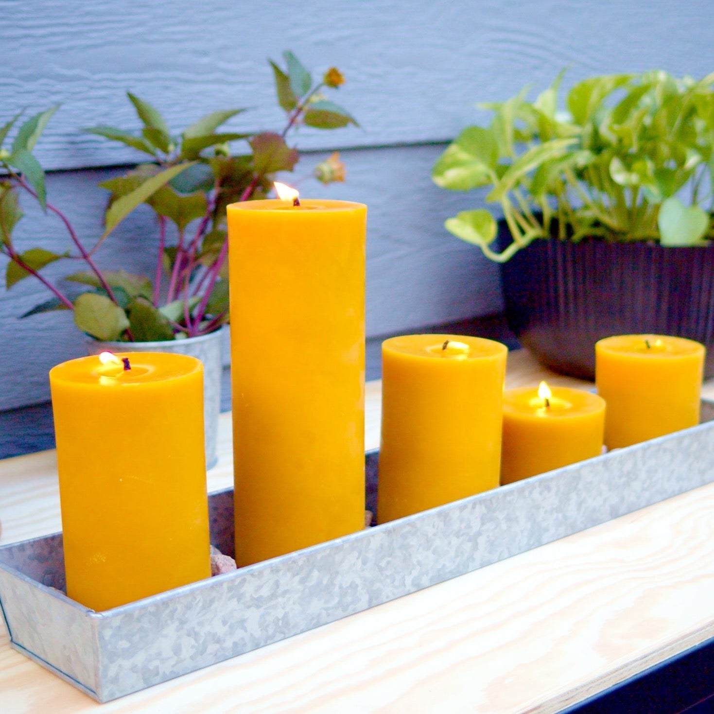 Pure Beeswax Pillar Candles | 3" to 9" Sizes