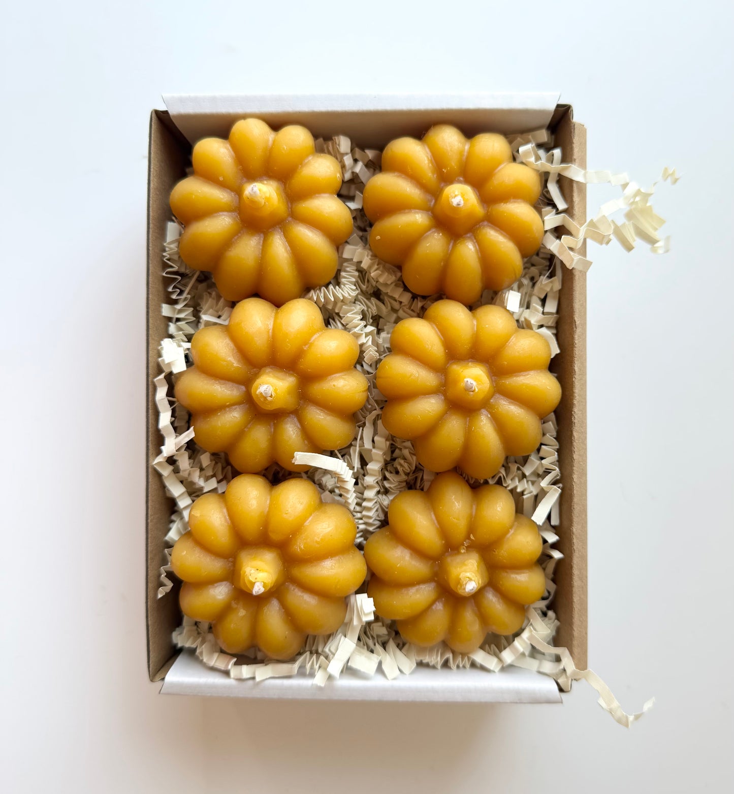 Pumpkin Tea Light Beeswax Candles