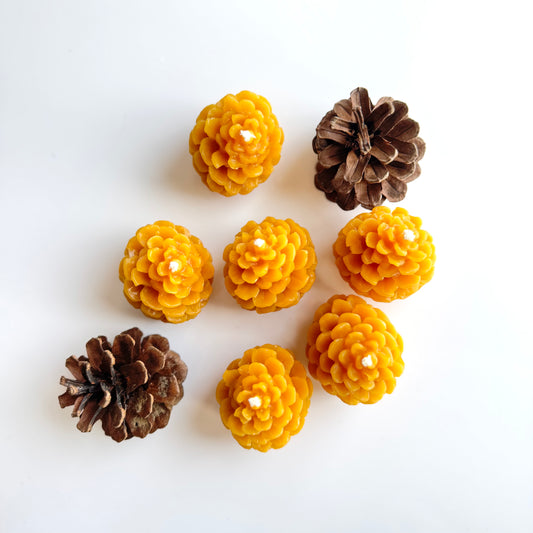 Small Pinecone Beeswax Candle Set