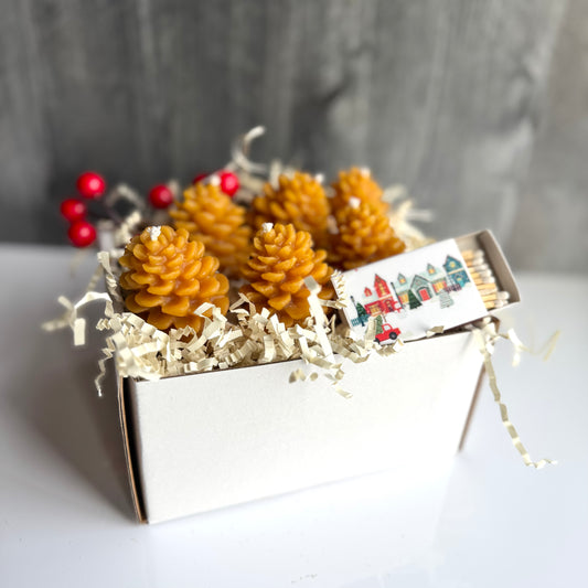 Pinecone Candle Gift Set