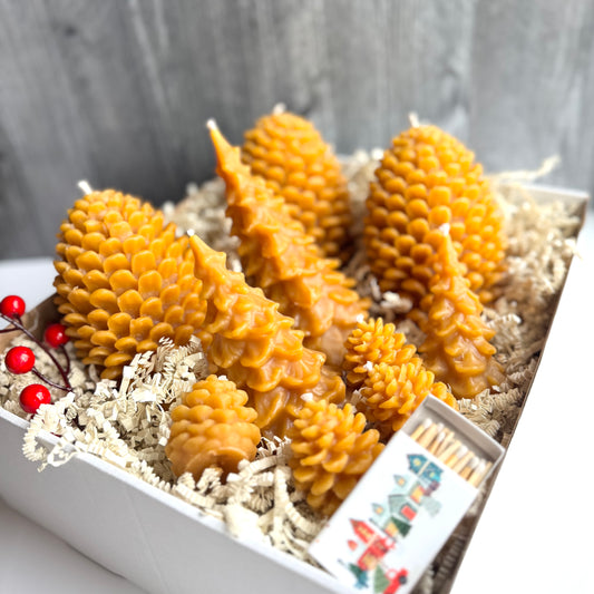 Forest Candle Bundle