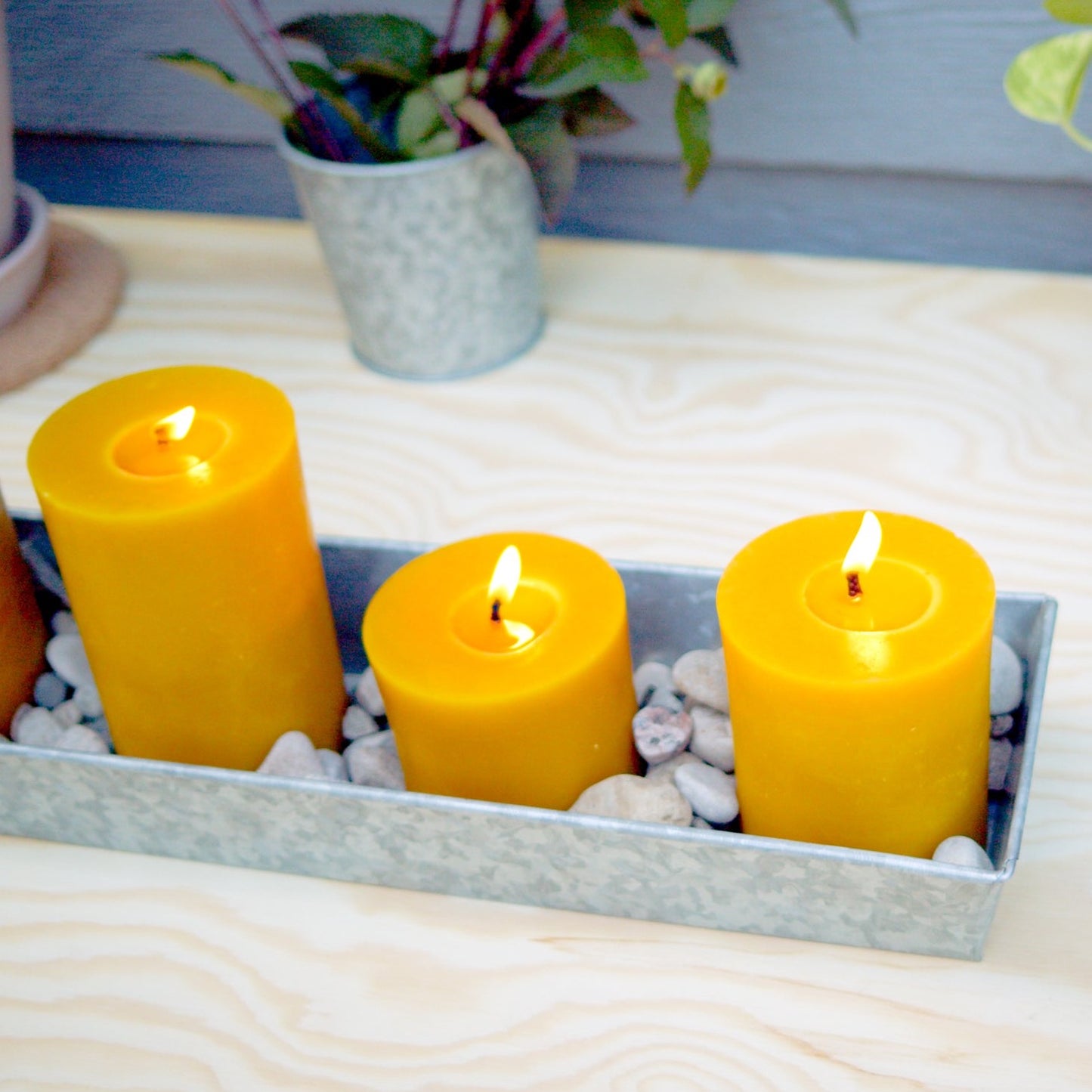 Pillar Beeswax Candles