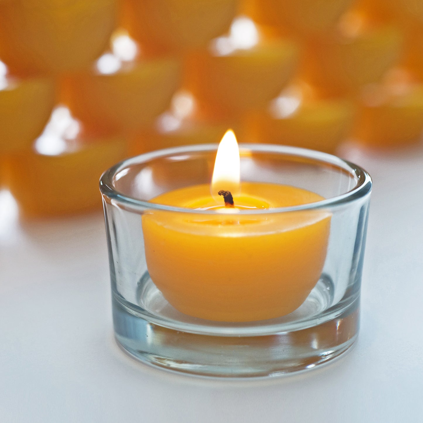 12 Beeswax Tea Lights with One (1) Reusable Candle Holder