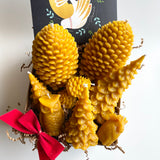 Beeswax Forest Candle Bundle